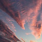 Sue Keyser - @sek.rogue - Instagram