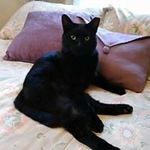 Sue Keyser - @keysersue - Instagram