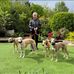 Sue Kilpatrick - Facebook