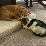 Sue Gillmett Knapp - @sgilnap - Instagram