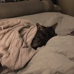 Sue Knapp - @sue.knapp.982 - Instagram