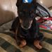 Sue Knapp - Facebook