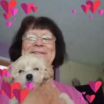 Sue Knox Harrison - @sue3172 - Instagram