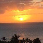 Sue Knutson - @sueknutson1 - Instagram