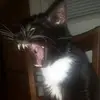 Sue - @suekramlich1 - TikTok