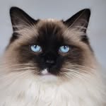 Sara Sue Kwiatkowski - @sara_kwiatkowski5 - Instagram