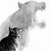 Sue Lamb - Facebook
