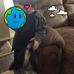 Sue Ann Lancaster - Facebook