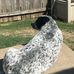 Sue Ann Lancaster  - Facebook
