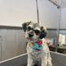 Sue Lancaster - Facebook
