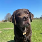 Sue Langley - @suelangley - Instagram