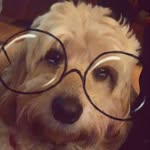 Sue Langley - @_suelangley - Instagram