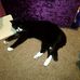 Sue Langley - Facebook