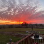 Sue Larkin - @sue.larkin.9279 - Instagram