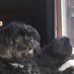 Sue Larkin - @tylermitchell3344 - Instagram