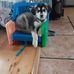 Sue Larkin - Facebook