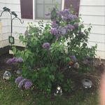 Sue Larkin - @sue_larkin - Instagram