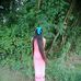 Sue Lay - Facebook