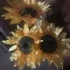 suegrecooleary - @sue.greco.oleary - TikTok