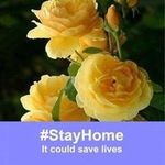 Sue LeGault - @sue.legault.77 - Instagram