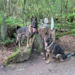 Sue Legault - @sue.legault.338 - Instagram