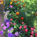 Sue Leiser - Facebook