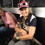Sue Leslie - @sueleslieequest - Instagram