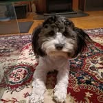 Sue Leslie - @sue.leslie.790 - Instagram