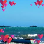 Sue Leslie - @sue.leslie1 - Instagram