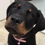 Sue Leslie - @sueleslie8260 - Instagram