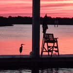 Sue Lessard - @slessard60 - Instagram