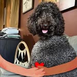 Susan Lessard - @suelessard - Instagram