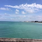 Sue Lieberman Mead - @sueliebermanmead - Instagram
