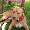 light sue - @light.sue - TikTok