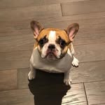Sue Light - @suelight6 - Instagram