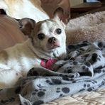 Sue Light - Facebook