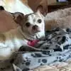 Sue Light - @sue.light7 - TikTok