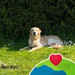 Sue Light - Facebook
