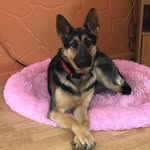 Sue Light - @sue.light.61 - Instagram