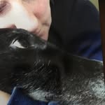 Sue Robinson Light - @srobinson4705 - Instagram