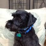 Sue Lindquist - @lindquist3119 - Instagram