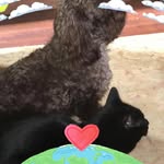 Sue Logan - @sue.logan.144 - Instagram