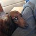 Sue Logan - Facebook