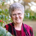 Sue Logan Bryson - @sue_logan_bryson - Instagram