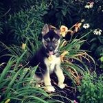 Sue Lauver Lovelace - @sue.l.lovelace - Instagram