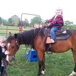 Sue Lovelace - @slove71453 - Instagram