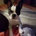 Sue Lovelace - Facebook