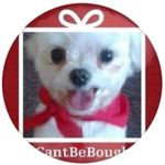 Sue Shetley Lovelace - @shetleylovelace12 - Instagram