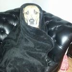 Sue Lowry - @lowry6070 - Instagram
