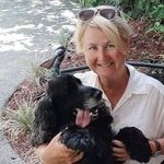 Sue Lowry - @s00000007 - Instagram